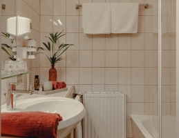 Apartment and Chalet 