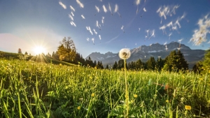 General Impressions © TVB Wilder Kaiser Foto-Emanuel-Adensam-3©eafoto