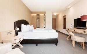 Apartment and Chalet 