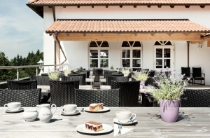 Apartment and Chalet 