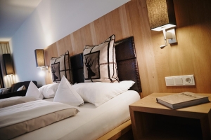 Apartment and Chalet 