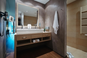 Apartment and Chalet 