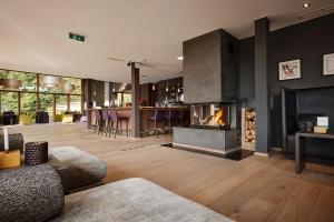 Apartment and Chalet 