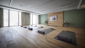 Apartment and Chalet 