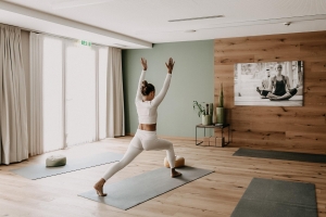 Apartment and Chalet 