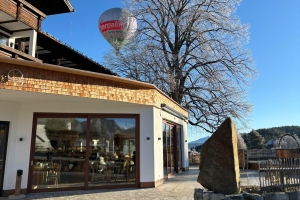 Apartment and Chalet 
