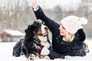 Miscellaneous|woman-playing-with-dog-snow-covered-land-winter.jpg 