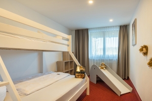 Apartment and Chalet 