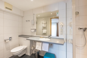 Apartment and Chalet 