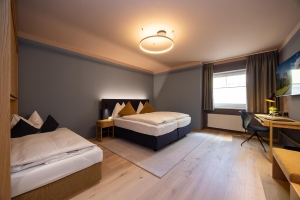 Apartment and Chalet 