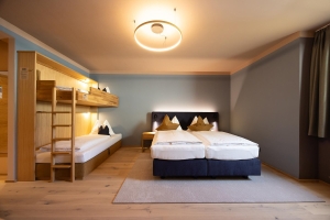 Apartment and Chalet 