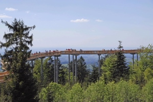 Waldwipfelweg St. Englmar © Waldwipfelweg GmbH