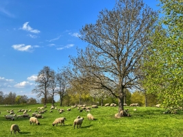 Landscape © Pixabay/Jürgen